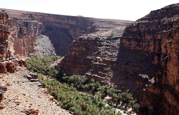 Palm grove of Amtoudi