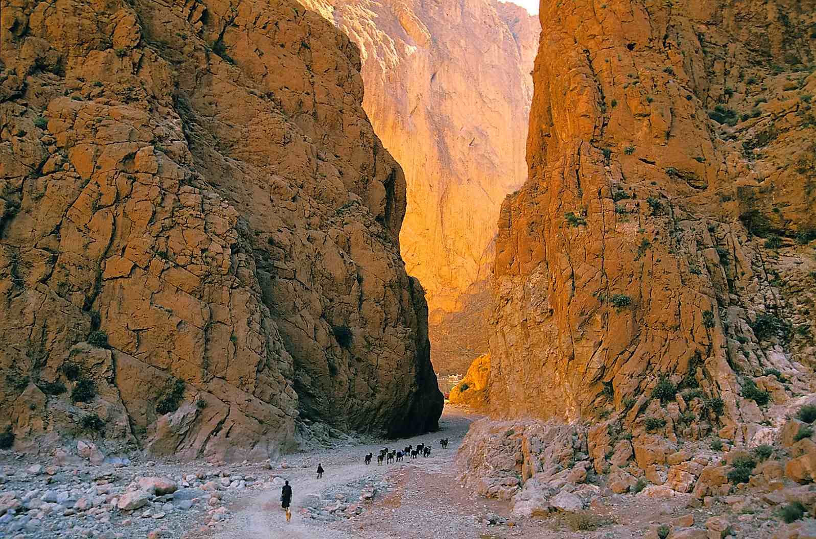 Gorges of the Todgha Valley